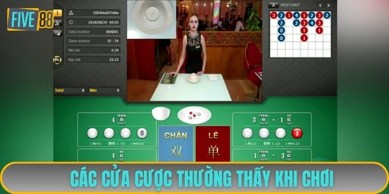 Các cửa cược thường thấy khi chơi