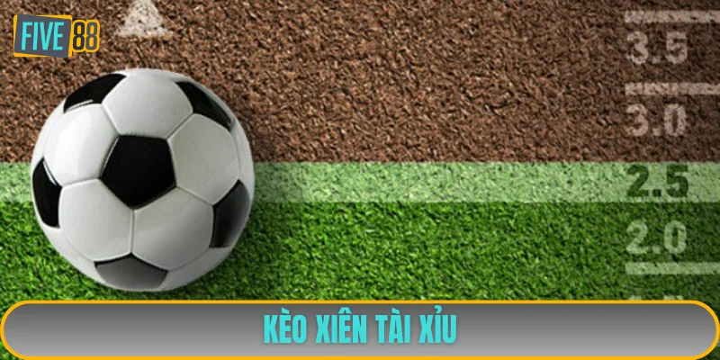 Chọn cược xâu theo tỷ lệ tài xỉu hấp dẫn