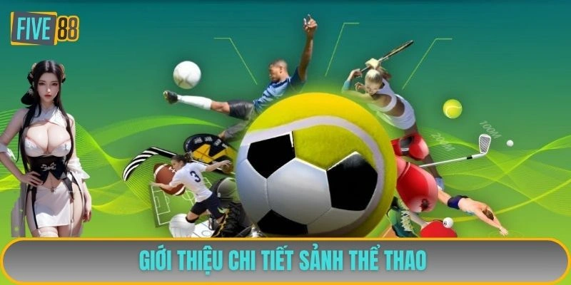 Giới thiệu chi tiết sảnh thể thao 