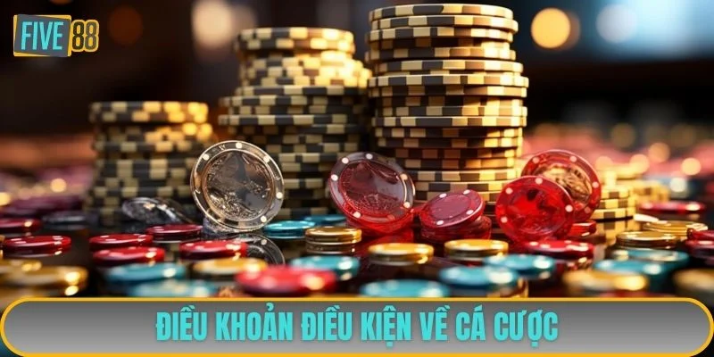 Điều Khoản Điều Kiện 2 Quy định bạn phải nắm khi đặt cược